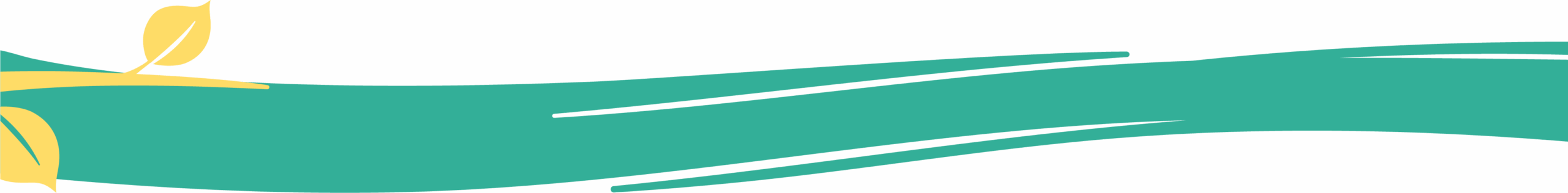 separateur-accueil-4